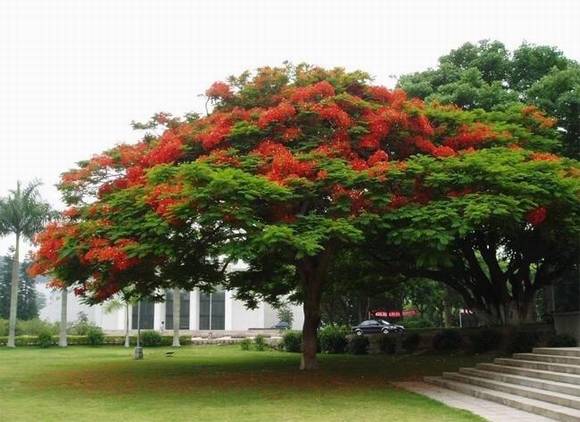 ���������л�/����/����