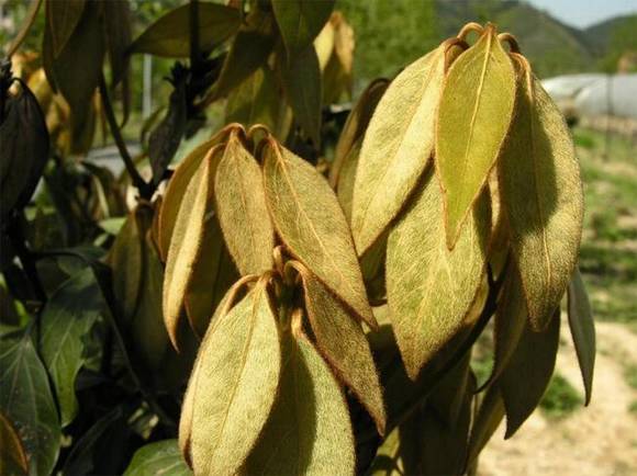 �㽭��ɽ���л�/����