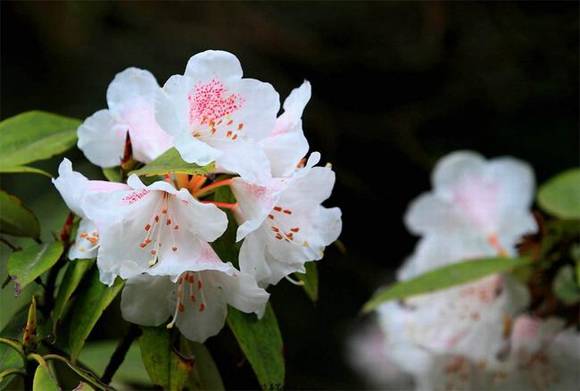 ���������л�/����