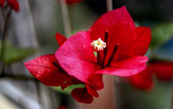 ���������л�/����