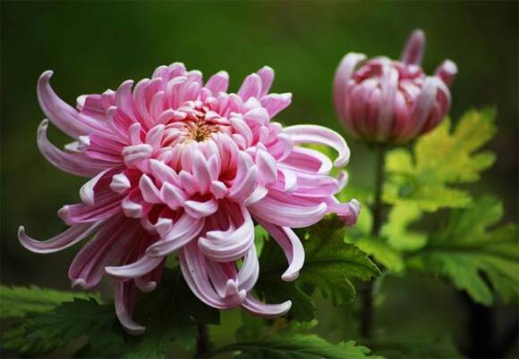 �����л�/����/����