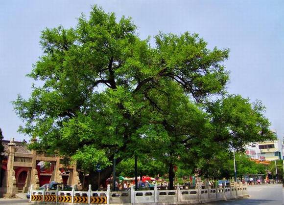 �����л�/����/����