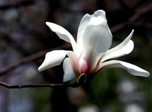 �Ϻ��л�/����/����