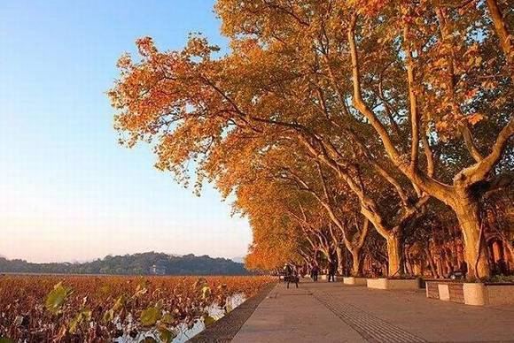 �Ϻ��л�/����/����