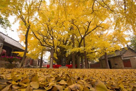 �����л�/����