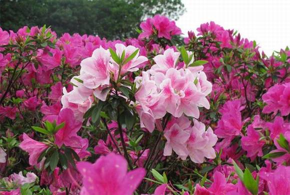 �����л�/����