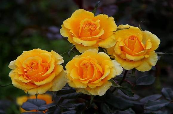 �����л�/����