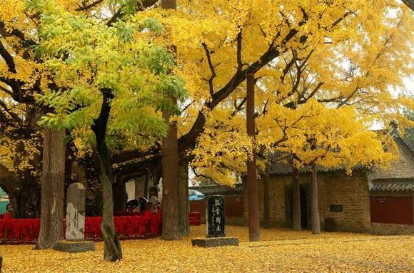 �����л�/����