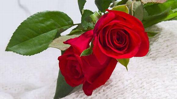 ��˳�л�/����