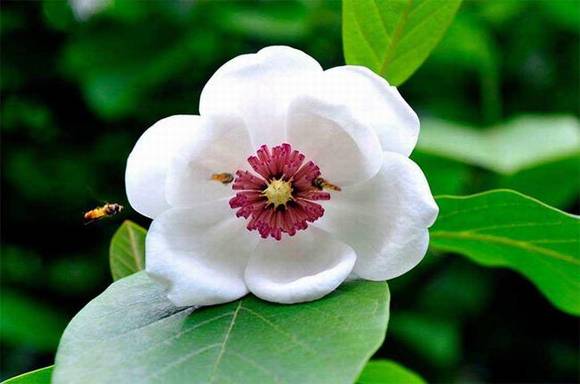 ��Ϫ�л�/����