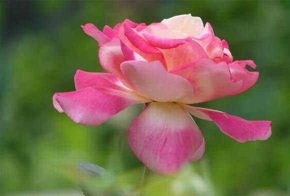 �����л�/����