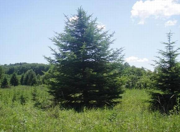 ��ͷ�л�/����/�л�/��������