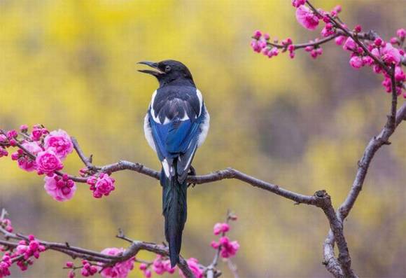 �����л�/����/����/�л�/�и�