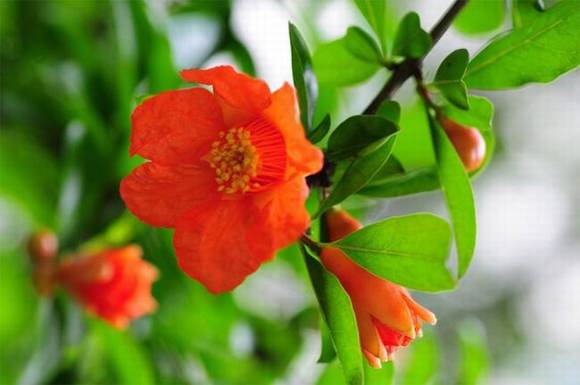 �����л�/����