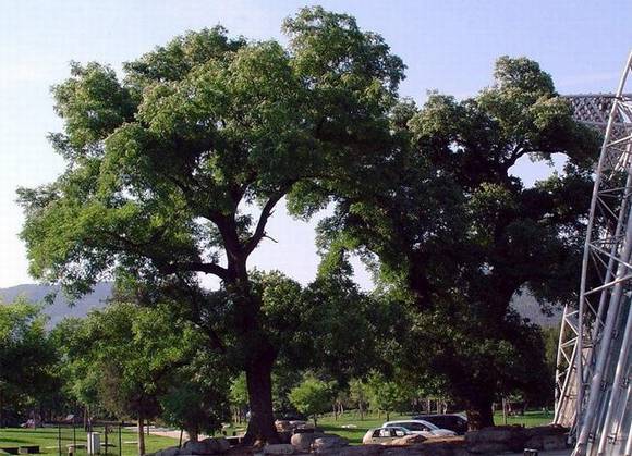 �����л�/����