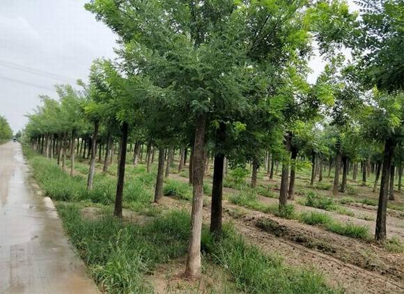 �����л�/����/��־