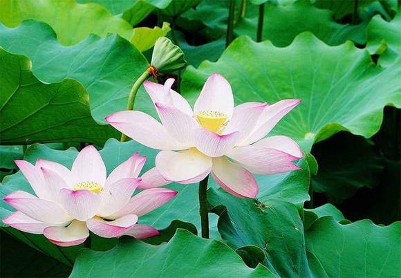 �������л�