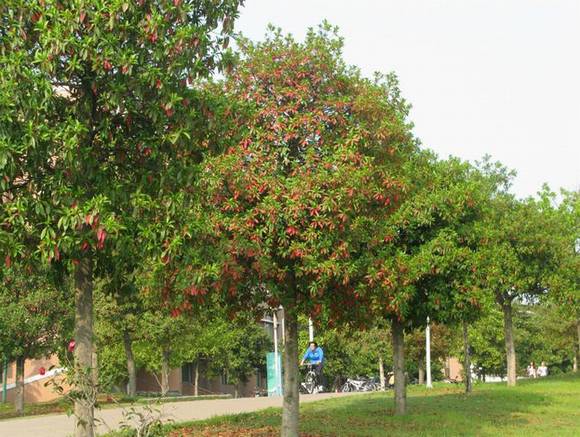 �����л�/����/�л�