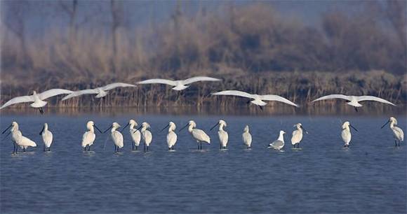 �����л�/����/����