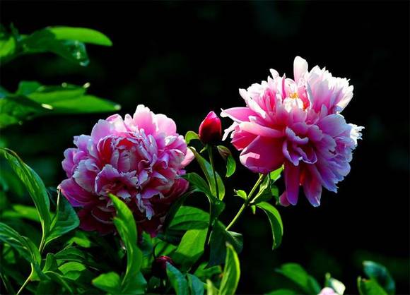 �����л�/����