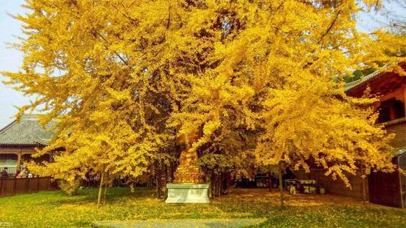 �����л�/����