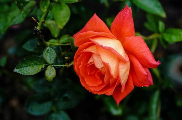 �����л�/����