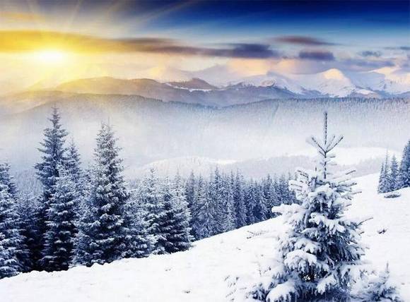 �����л�/����