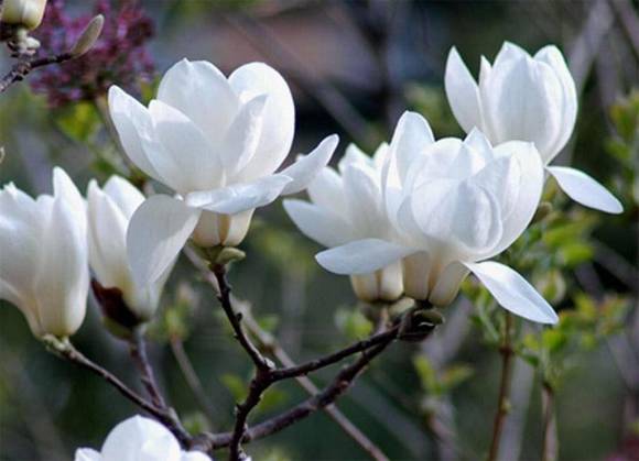 ���л�/����