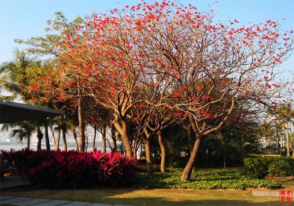 Ȫ���л�/����/�б�