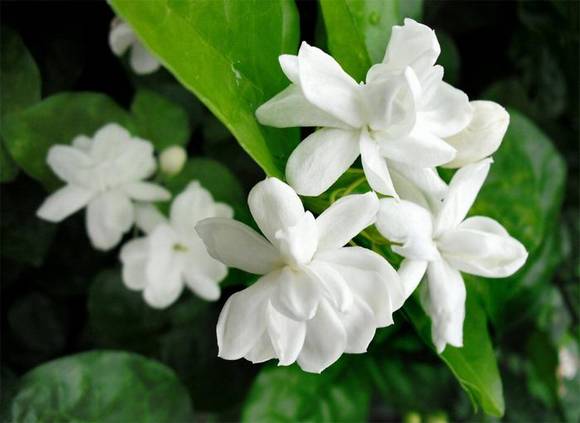 �����л�/����/�й�