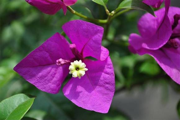 �����л�/����