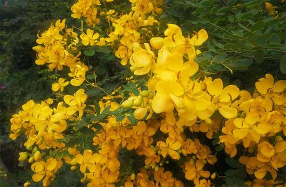 �����л�/����