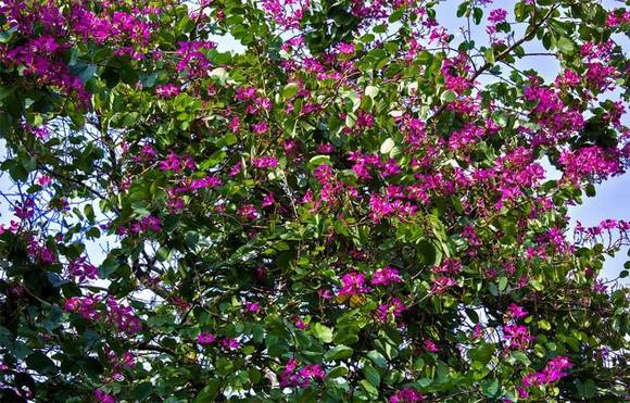 �����л�/����