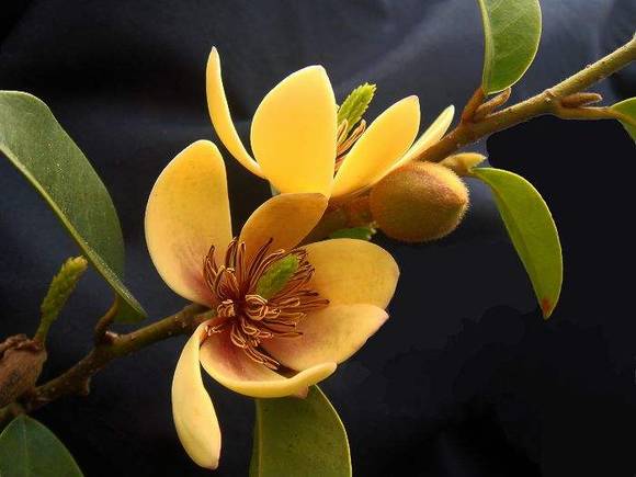 �����л�/����