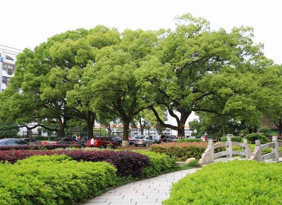 �����л�/����