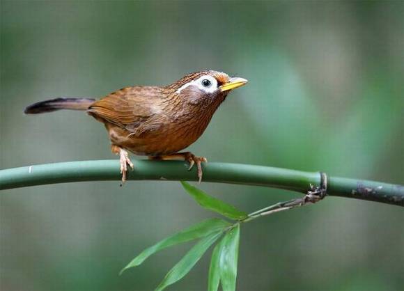 �����л�/����/����