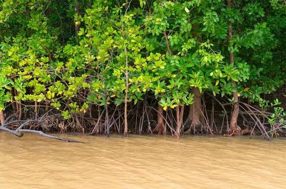 �����л�/����