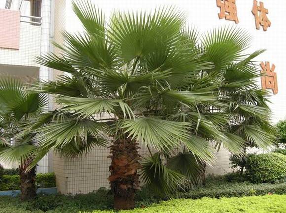 �����л�/����