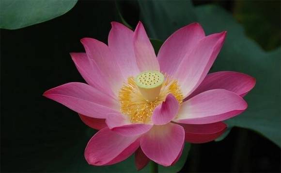 �����л�