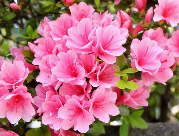 �ع��л�/����/����