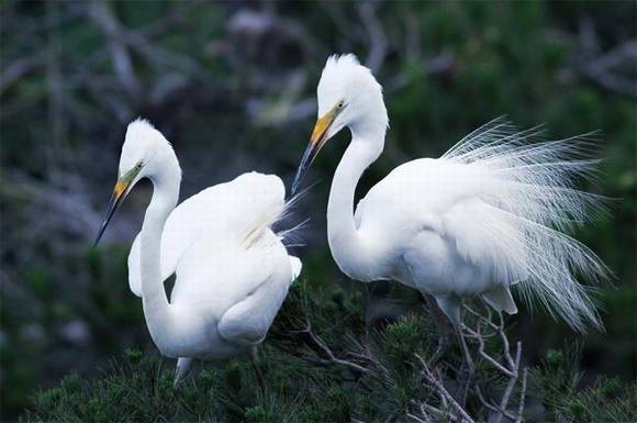 �����л�/����/����/�б�