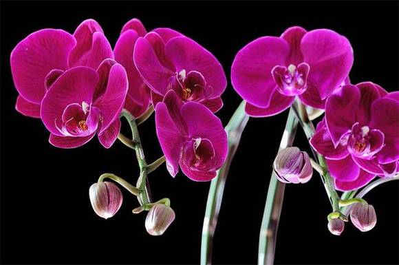 ̨���л�/����/����