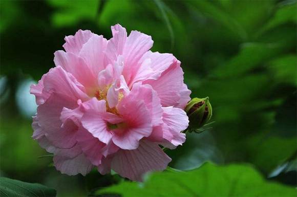 �ɶ��л�/����