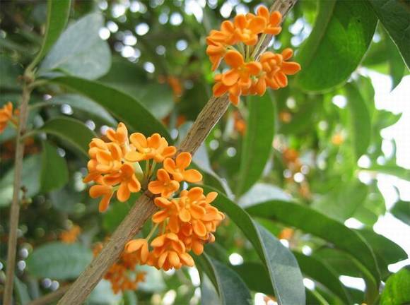 �����л�/����