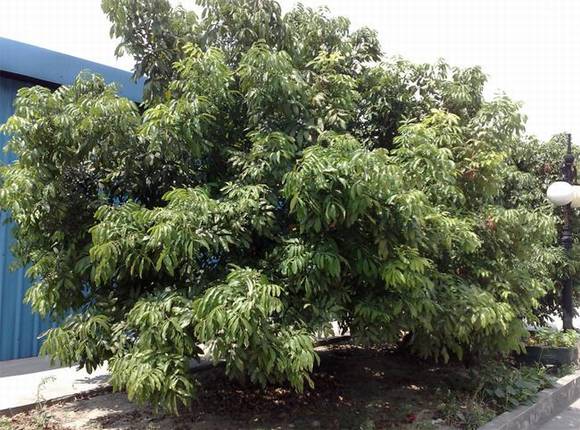 �����л�/����