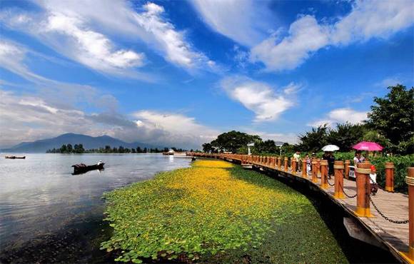 �����л�/����