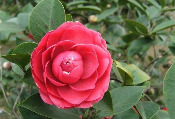 �����л�/����