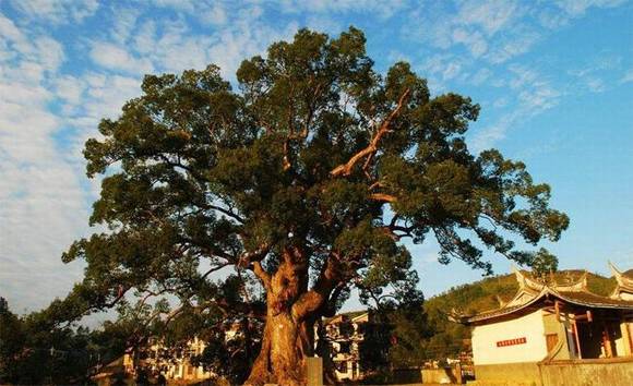 �����л�/����