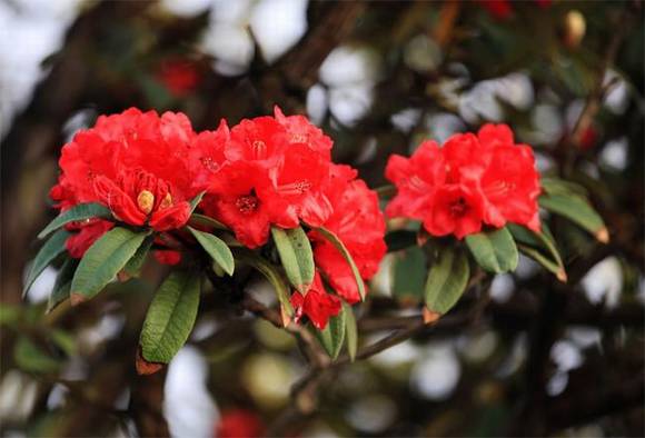 ����ʡʡ��/ʡ��