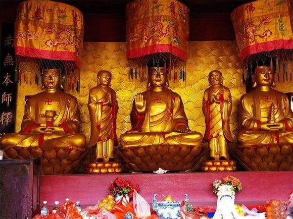 �㽭������ɽ��������